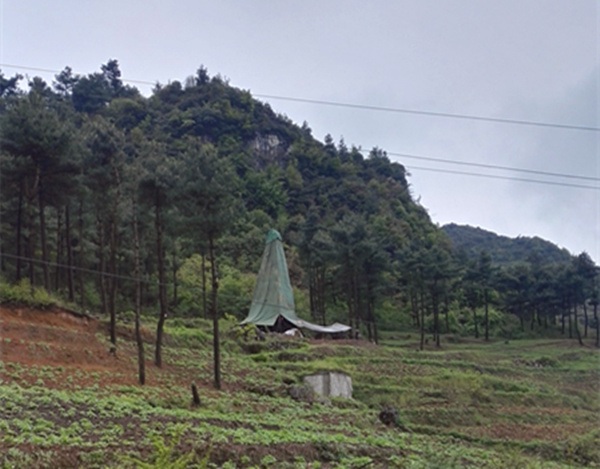 把脈“黔”鋅地，問診開良方