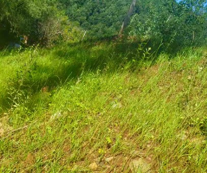 柳關(guān)欒盧鉛鋅礦|治理排土“瘡疤”，繪就綠色畫卷
